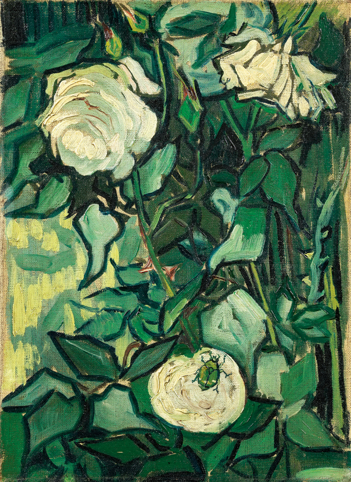  文森特·威廉·梵高  Vincent Willen Van Gogh —— 玫瑰与甲虫